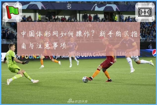 中国体彩网如何操作？新手购买指南与注意事项