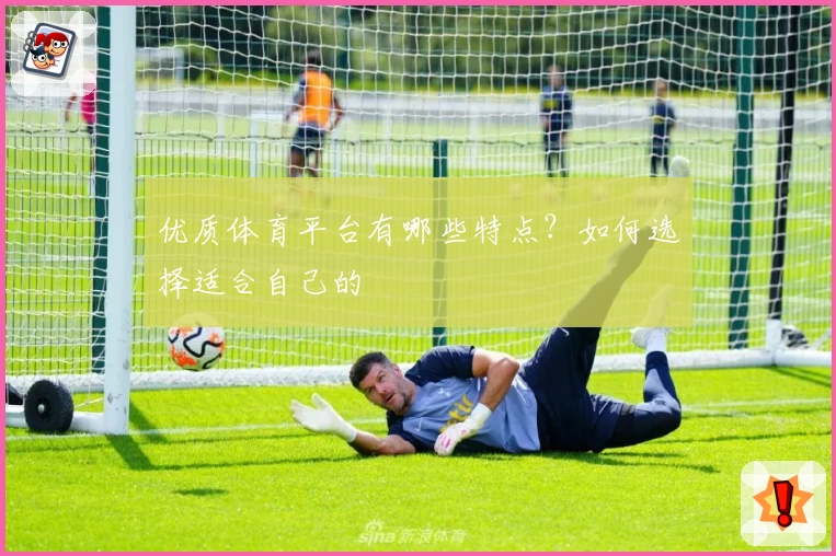 优质体育平台有哪些特点？如何选择适合自己的