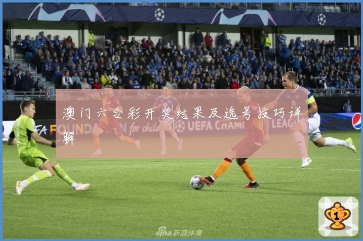 澳门六合彩开奖结果及选号技巧详解