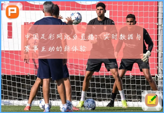 中国足彩网比分直播：实时数据与赛事互动的新体验