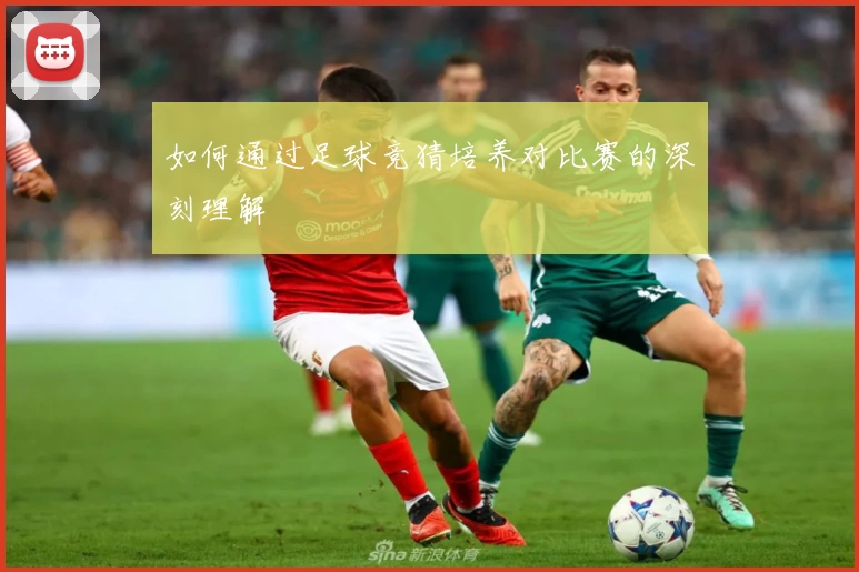 如何通过足球竞猜培养对比赛的深刻理解
