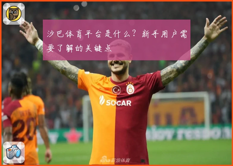 沙巴体育平台是什么?新手用户需要了解的关键点
