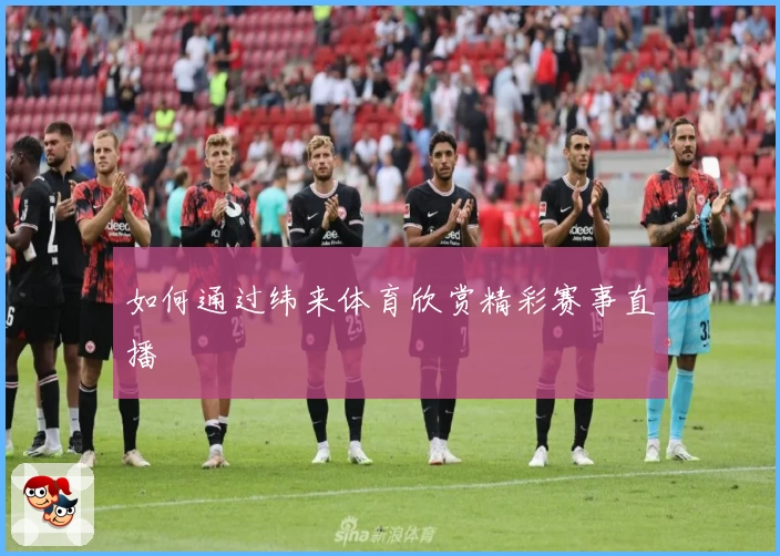 如何通过纬来体育欣赏精彩赛事直播