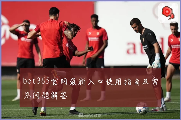 bet365官网最新入口使用指南及常见问题解答